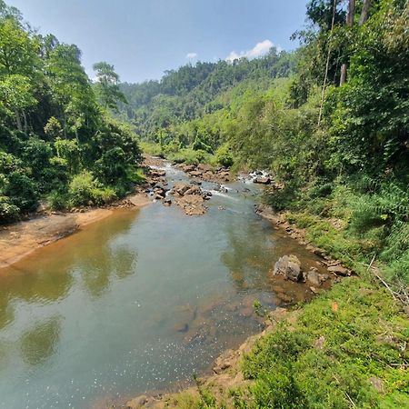 Rainforest River Bay 데니야야 외부 사진