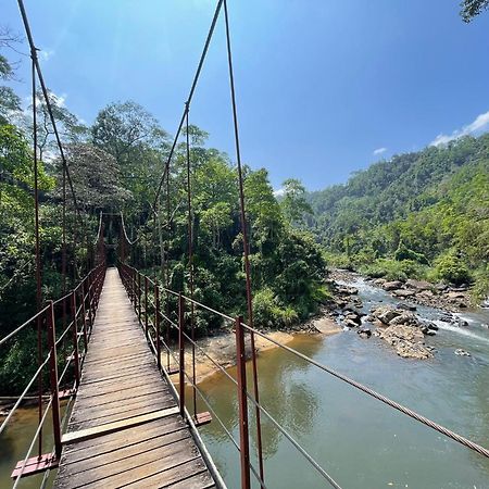 Rainforest River Bay 데니야야 외부 사진