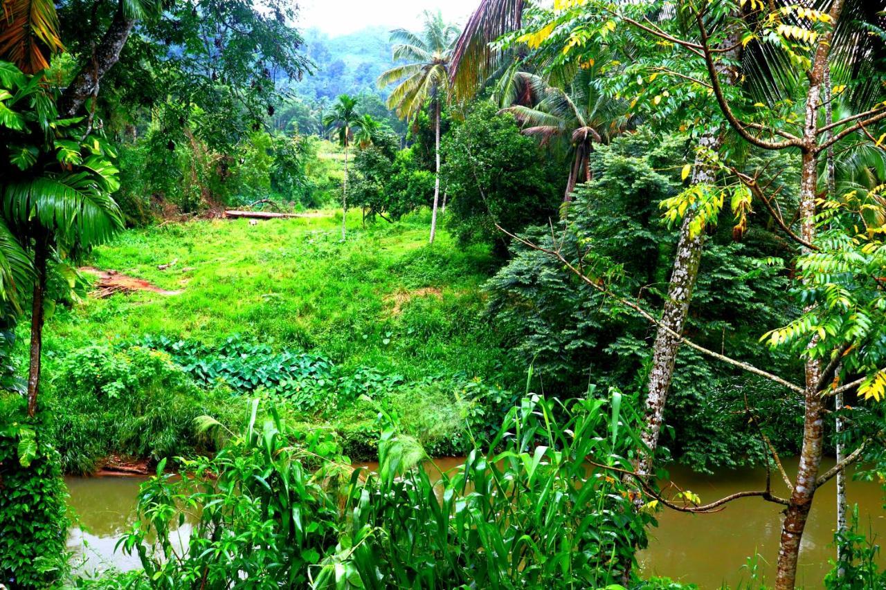 Rainforest River Bay 데니야야 외부 사진