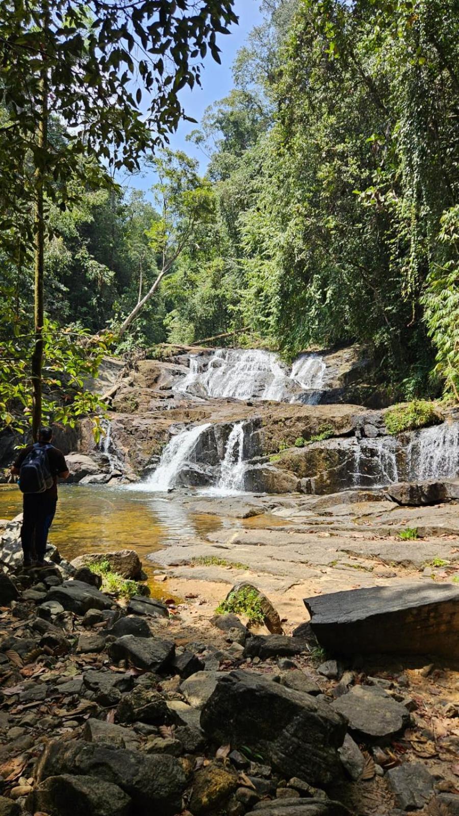 Rainforest River Bay 데니야야 외부 사진