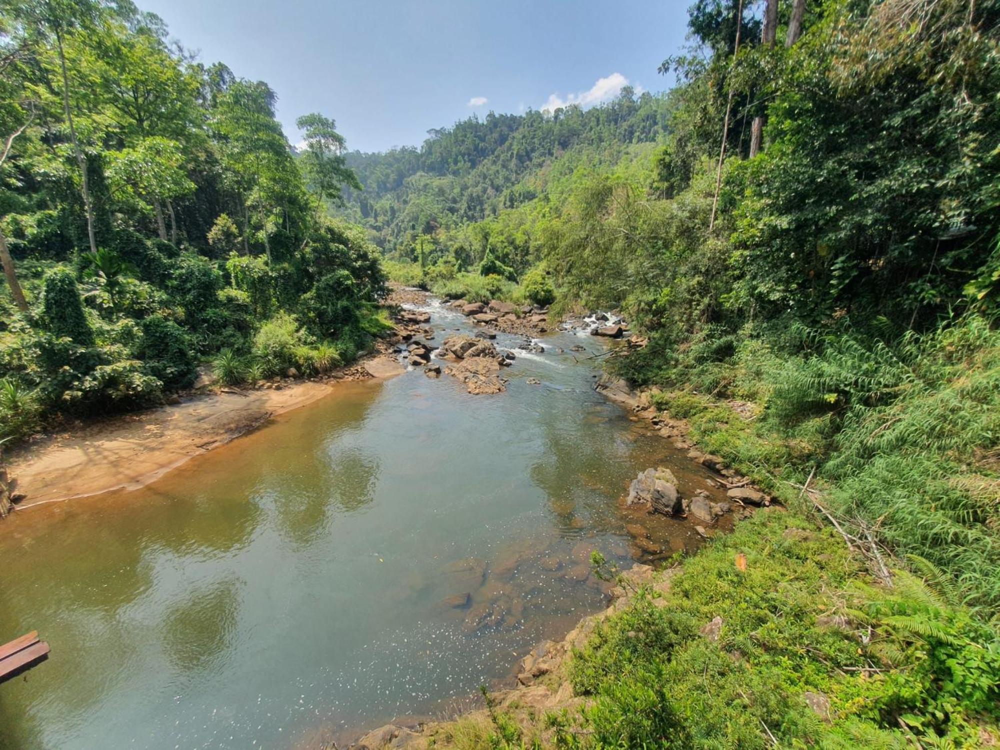Rainforest River Bay 데니야야 외부 사진