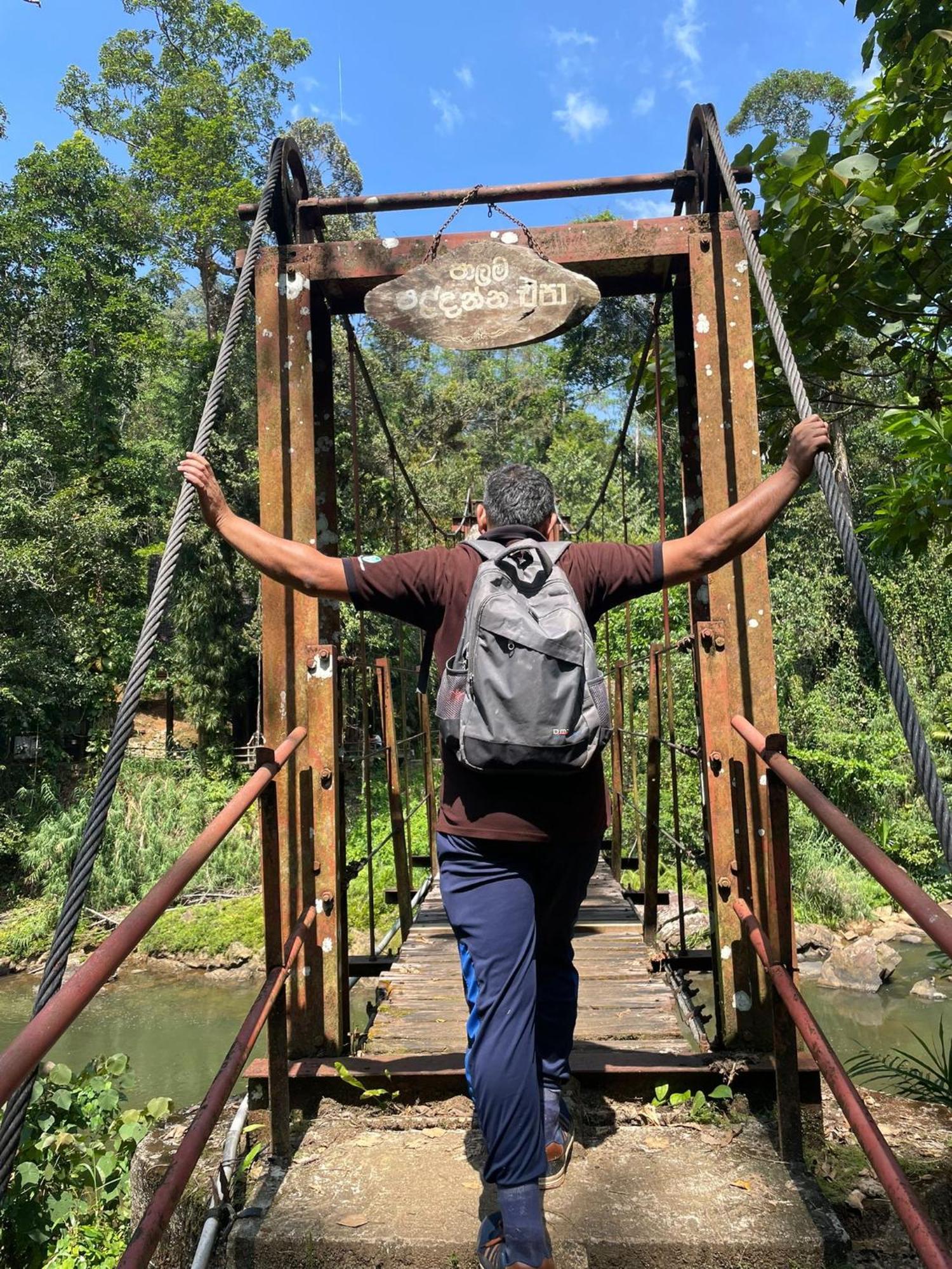 Rainforest River Bay 데니야야 외부 사진