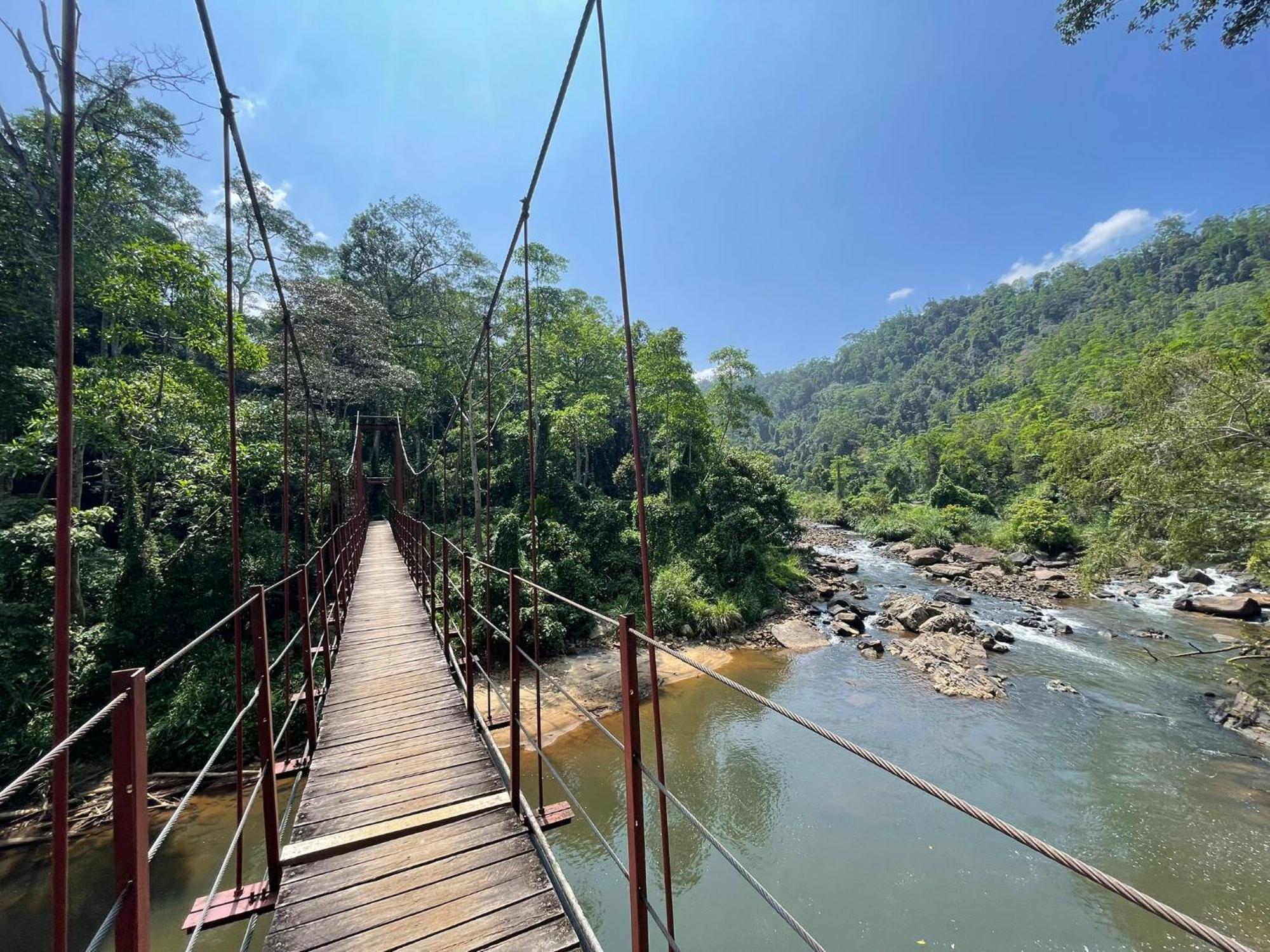 Rainforest River Bay 데니야야 외부 사진