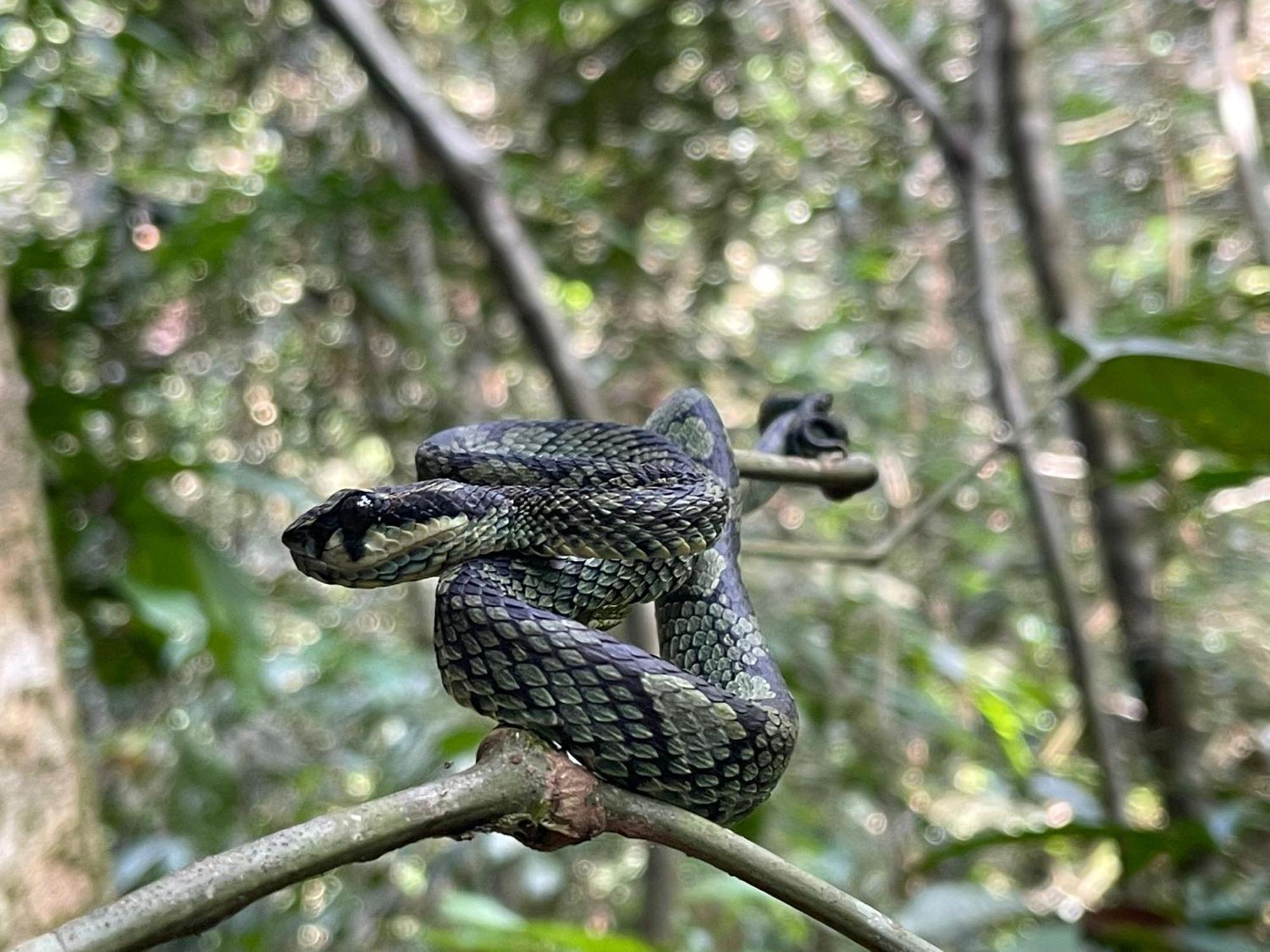 Rainforest River Bay 데니야야 외부 사진